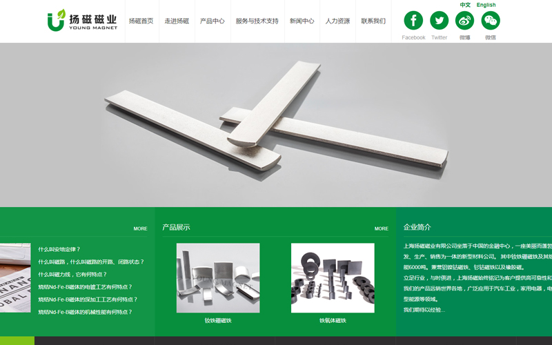 上海扬磁网站搭建项目